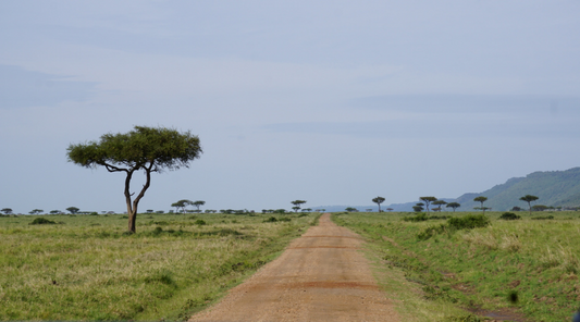 Intermission in Kenya: <br>one month paid leave from work</br>